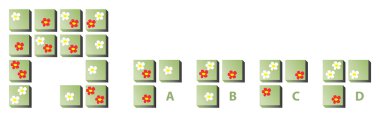 çiçekli zihin puzzle
