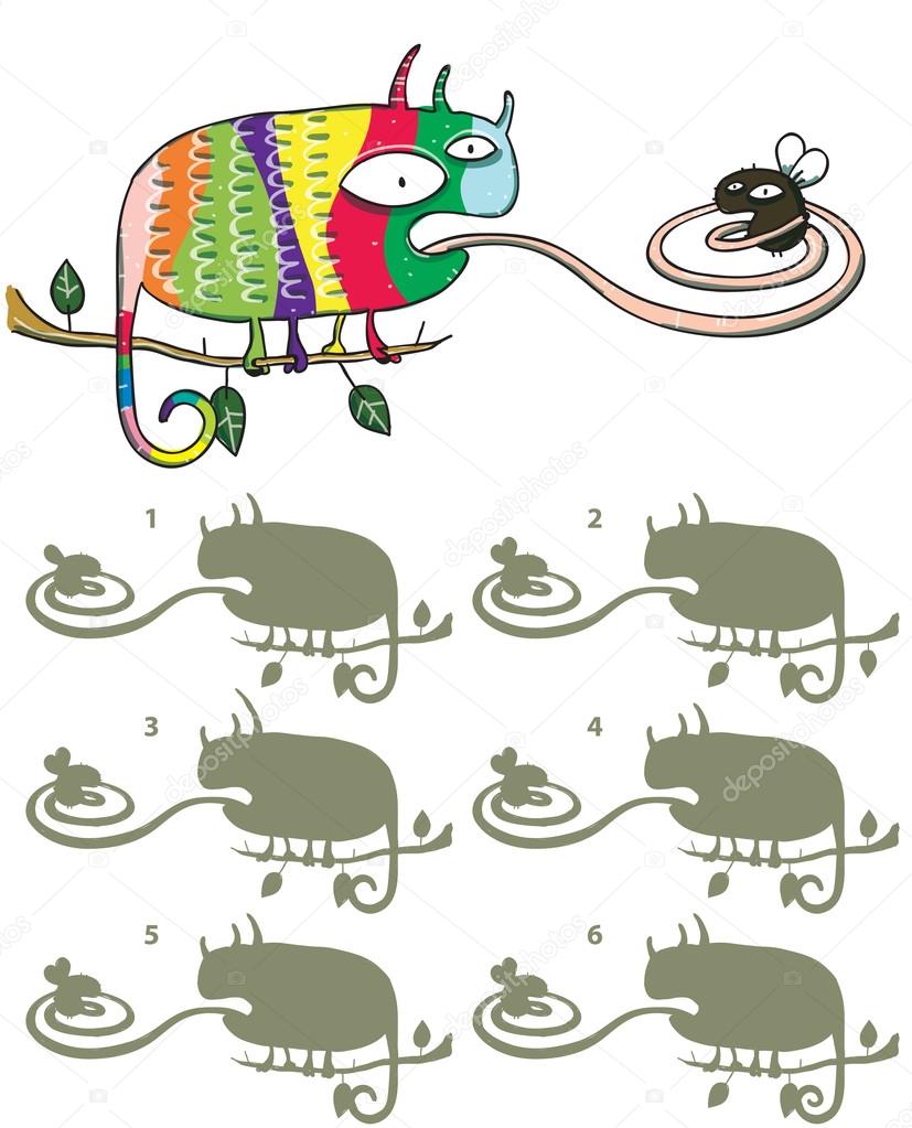 Chameleon And Fly Mirror Image Visual Game