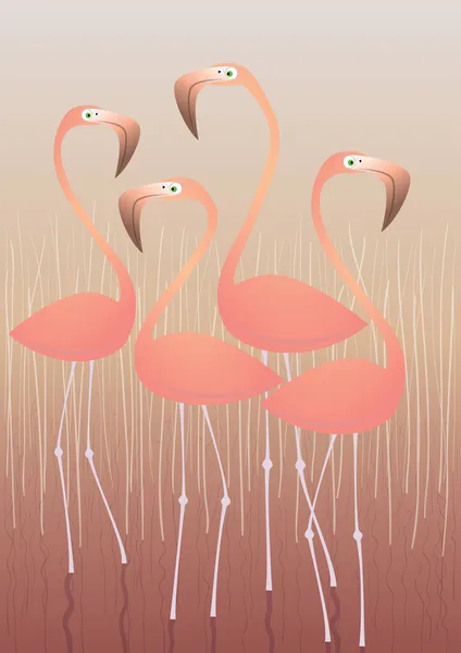 Flamingi cztery ilustracja — Wektor stockowy
