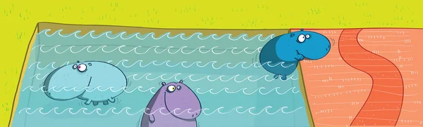 河马在游泳池 — 图库矢量图片