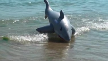 köpekbalığı lastik deniz