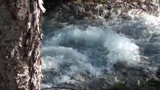 Dere, küçük nehir — Stok video