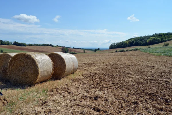 Landscape of Monferrato — Stock Photo, Image