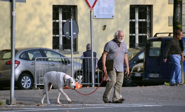 köpek tasma ile sokakta yürüyen adam