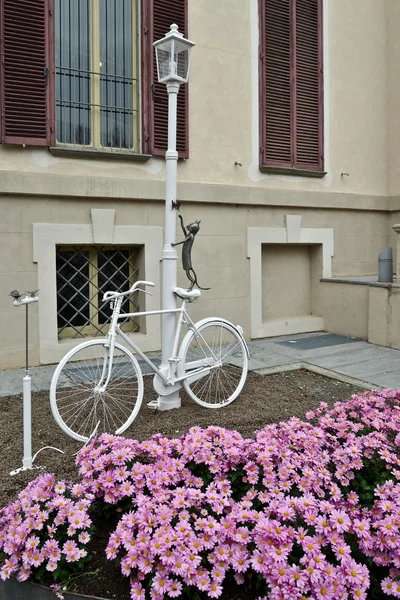 Цветная кошка с белым велосипедным седлом — стоковое фото
