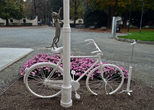 Chat de couleur avec selle de vélo blanche — Photo