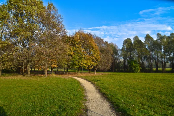 Landscape, autumn — Stock Photo, Image