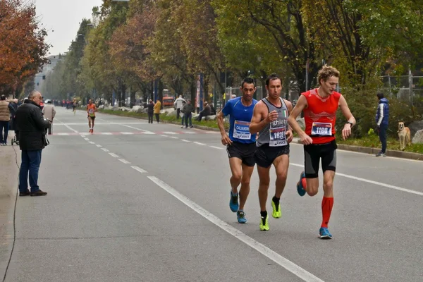 Maratón de Turín. 17 / 11 / 2013. los atletas — Foto de Stock