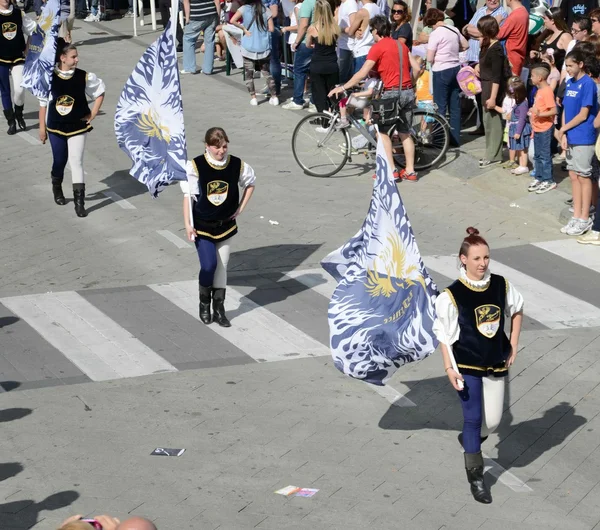 Parade med flaggbærere – stockfoto