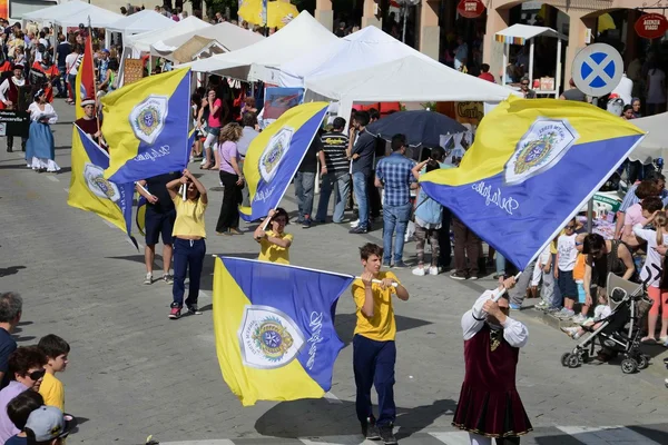 Geçit töreni bayrak taşıyıcısı — Stok fotoğraf