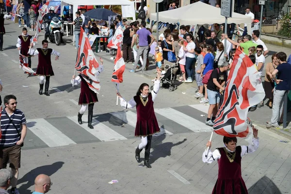 Parade med flaggbærere – stockfoto