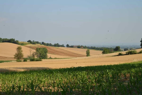 Bukit-bukit Monferrato. Piedmont. Italia — Stok Foto