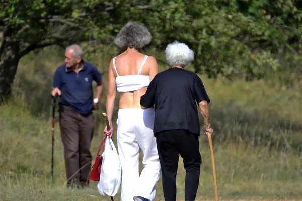 El paseo por el bosque — Foto de Stock