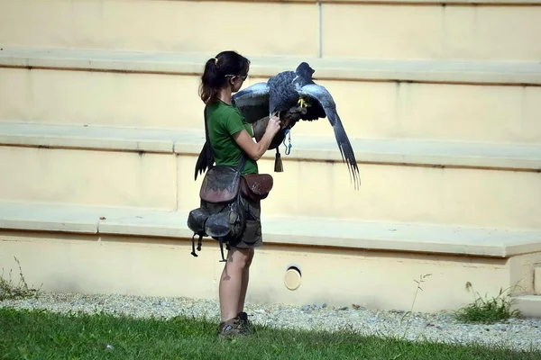 Powiększ bioparco Włochy Turyn. ptaki drapieżne — Zdjęcie stockowe