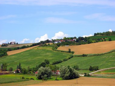Colline. Campagna. Monferrato piemonte. Italia