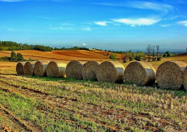 Landscape. hills. campaign. sheaves of straw. — Stock Photo, Image