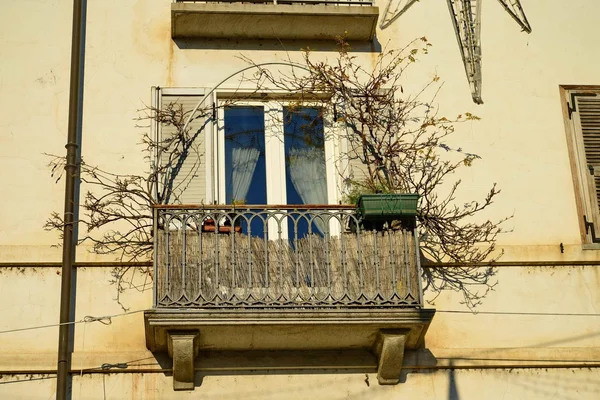 Venaria Reale. Turin. Italy. Christmas. outdoor. — Stock Photo, Image