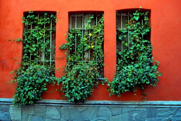 Window. geometry. colors. outdoor. house. winter. of December. Italy. — Stock Photo, Image