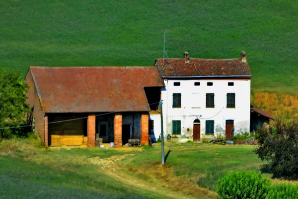 краєвид. регіоні Монферрат. П'ємонт. кампанії. літо.