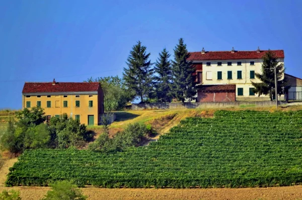 краєвид. регіоні Монферрат. П'ємонт. кампанії. літо.