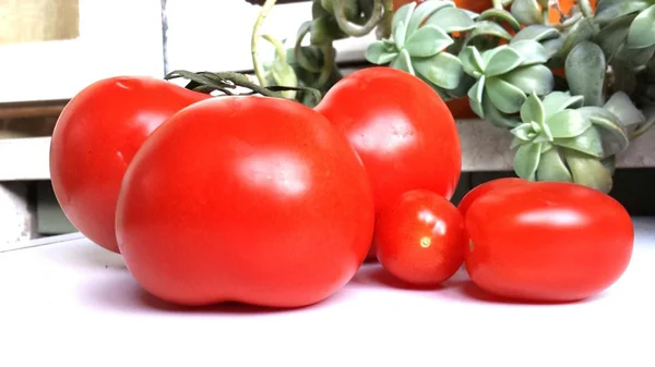 Tomat. sayuran. Merah. makanan . — Stok Foto