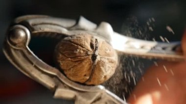 Crack the walnut with a nutcracker. Slow motion