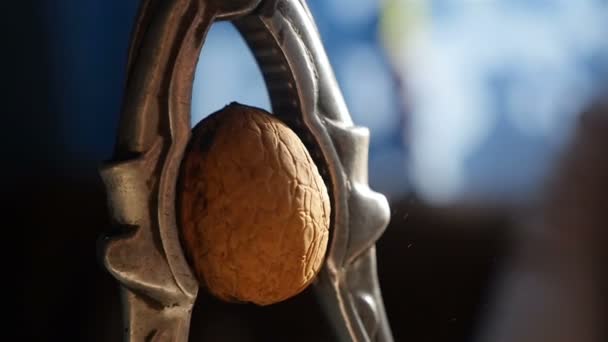 Crack the walnut with a nutcracker. Slow motion. Close-up — Wideo stockowe