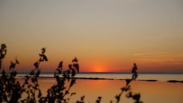 Sea sunset horizon in the autumn — Stock Video