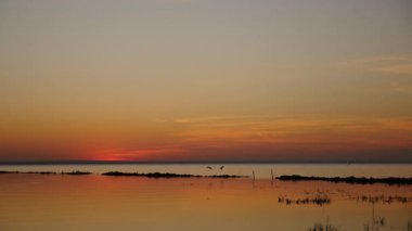 Kuşlar sonbahar günbatımında deniz taşlarından havalanır.
