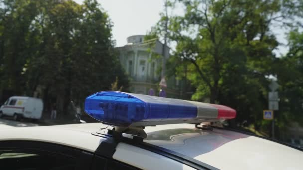 Şehir caddesinin çatısında kırmızı ve mavi sirenli polis arabası. — Stok video