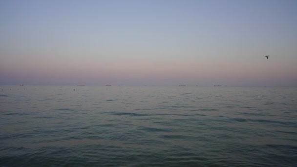 Ruhige See unter klarem Abendhimmel mit fliegenden Möwen und Frachtschiffen — Stockvideo