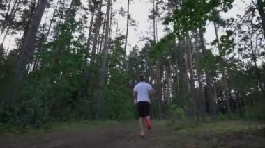 Erkek sporcu çam ormanlarında yolda koşuyor..