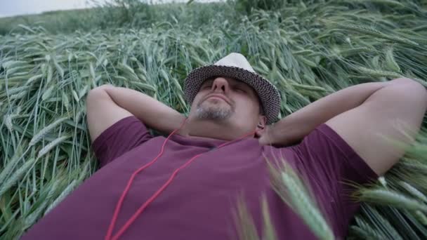 Man ligt op tarweveld luisteren naar muziek zijn handen achter zijn hoofd — Stockvideo