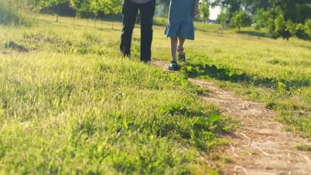 老人とティーン女の子歩く結合手上の牧草地 — ストック動画
