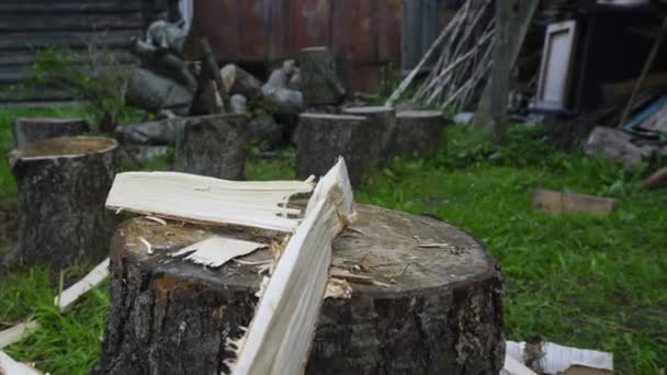 Yaşlı çiftçi odun kestikten sonra baltayı ağaca sapladı. — Stok video