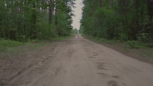 Fordon kör på sandig landsväg genom skog med grönska träd — Stockvideo