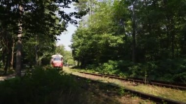 Tramvay, tramvay hattındaki yeşil parktan geçiyor.