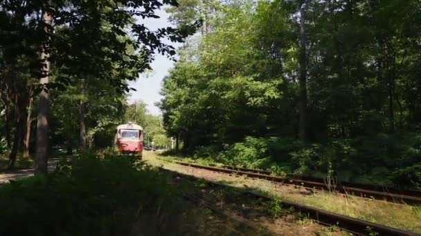 Tranvía de la ciudad está corriendo a través del parque verde en el tranvía — Vídeos de Stock