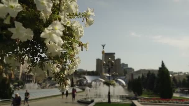 Blick auf den Maidan Nezalezhnosti Platz in Kiew, Ukraine. — Stockvideo