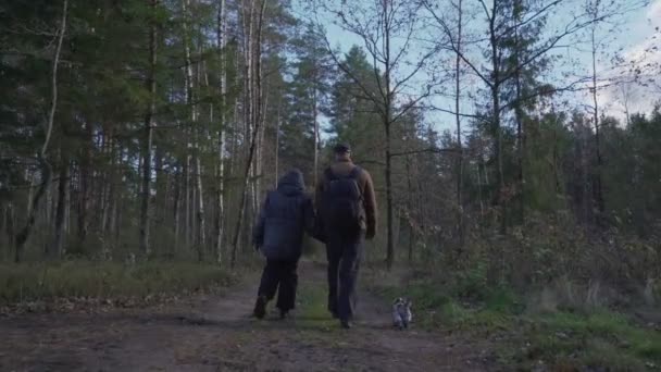 Vader en tiener jongen hand in hand lopen op de grond pad in de herfst bos — Stockvideo