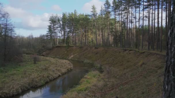 Fantástica vista del bosque de pinos de otoño con río de montaña y acantilado arenoso — Vídeo de stock