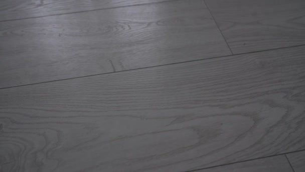 Sfondo in laminato grigio con pavimenti in legno moderno — Video Stock