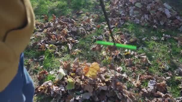 Person med trädgårdsräfsa i händerna svepande höstlövverk — Stockvideo