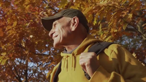 Happy smiling old hiker with backpack stands under oak tree foliage — Stock Video