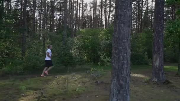 Middelbare leeftijd Kaukasische man loopt in het dennenbos in de zomer. — Stockvideo