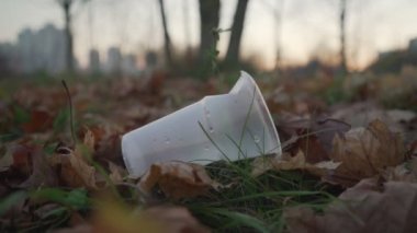 Sonbahar yapraklarıyla kaplı çimenlerin üzerinde duran plastik boş bardak.