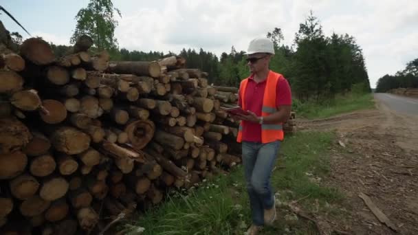 Mature forester in helmet and with tablet in hands walking along lumber stack — Stock Video