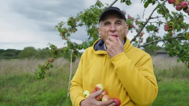 Muž stojí v zahradě s náručí plnou ovoce jíst jablka — Stock video