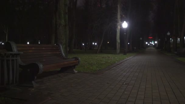 Ensam träbänk står på parkgränd under gatlyktan ljus. — Stockvideo