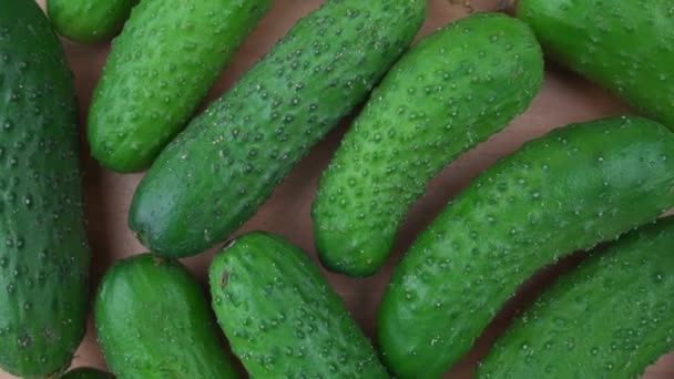 Pequenos pepinos de cor verde colheita girar sobre fundo de madeira. — Vídeo de Stock